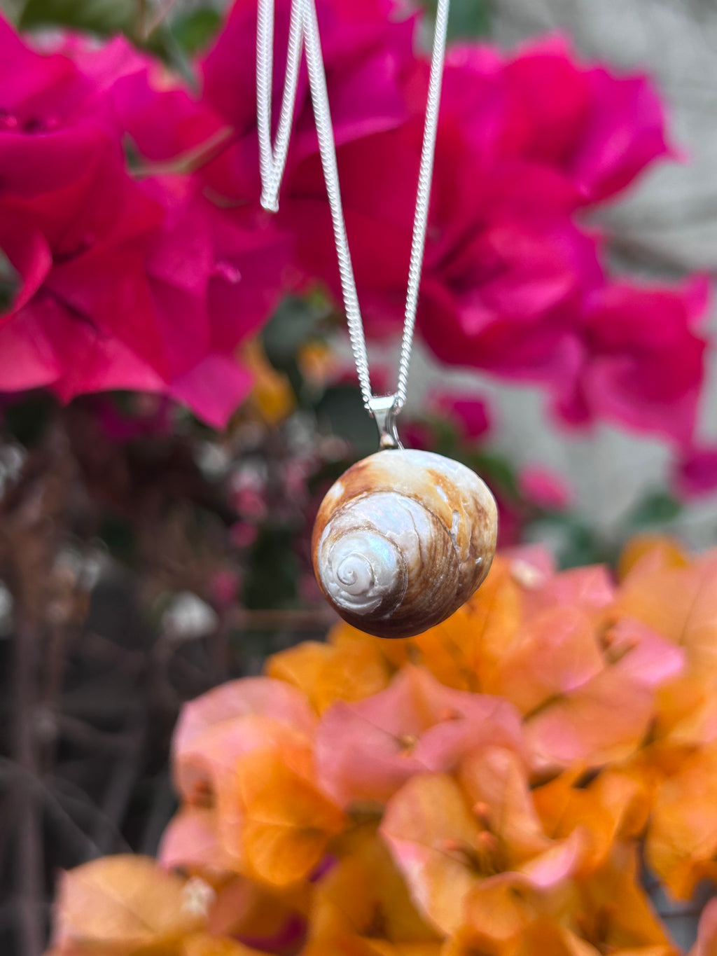 Coastal Drift Shell Pendant