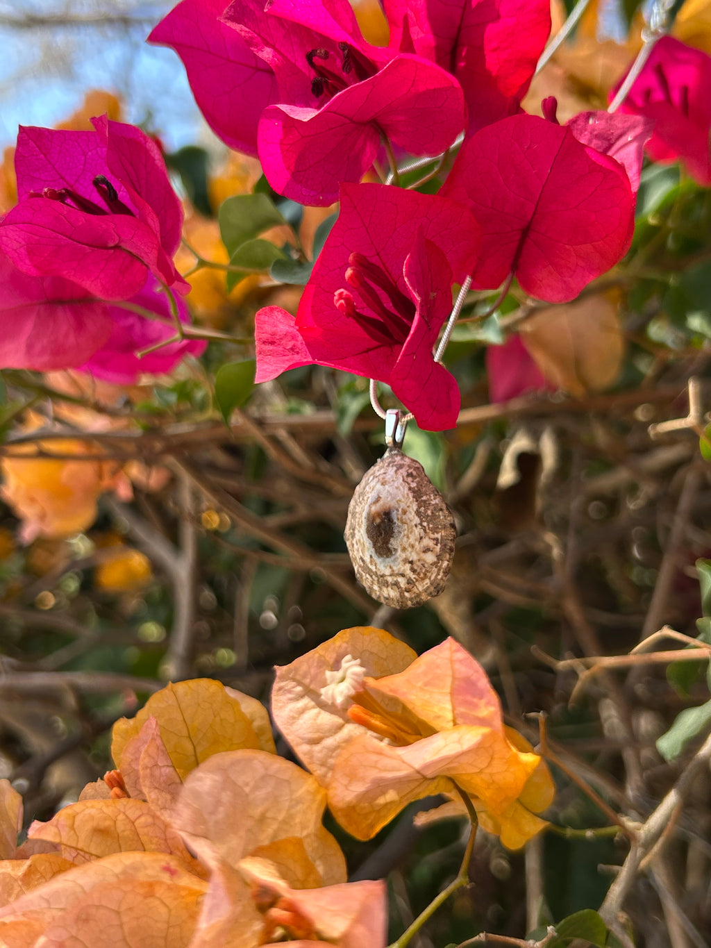 Sunlit Tide Shell Pendant