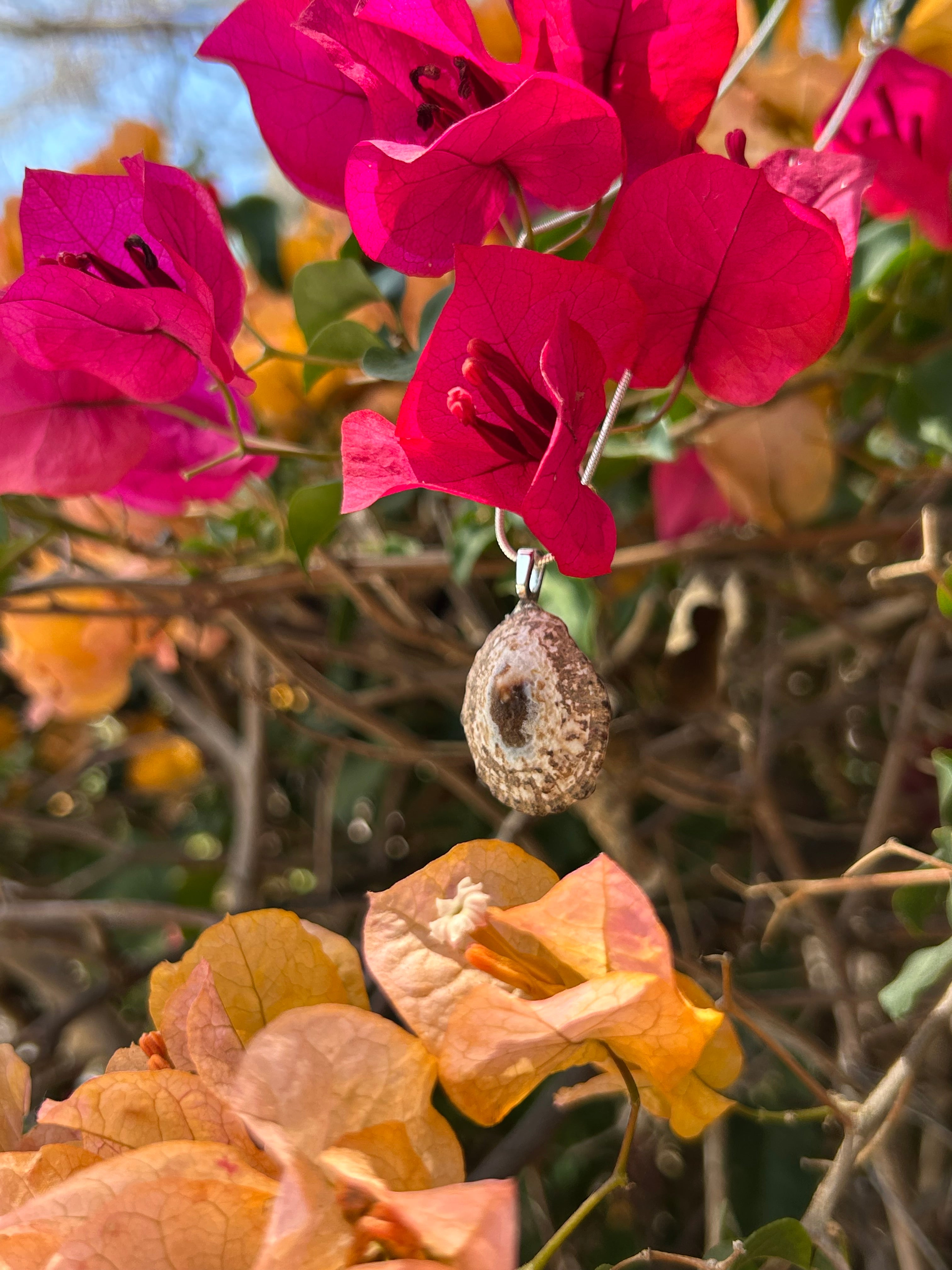 Sunlit Tide Shell Pendant