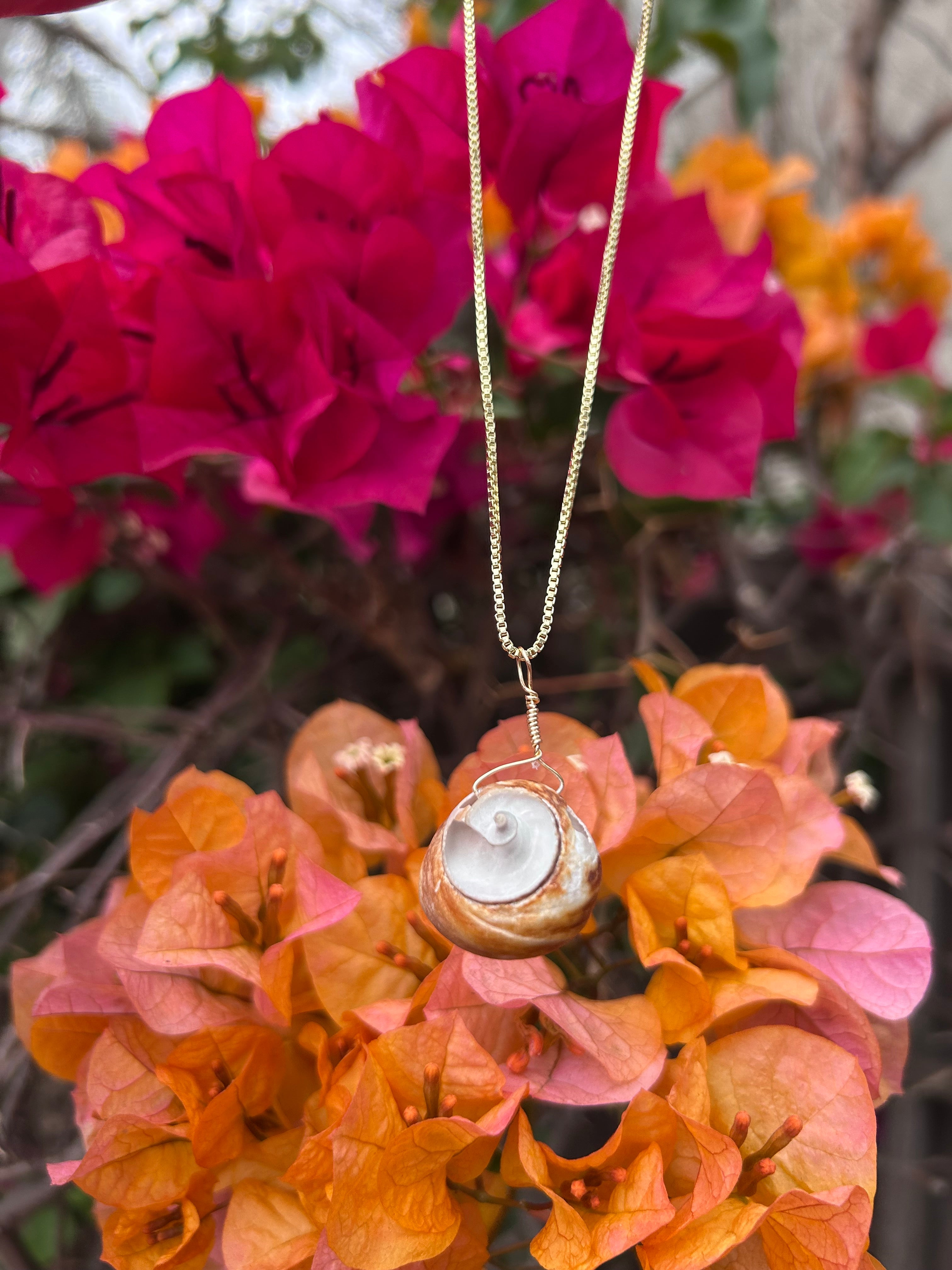 Moon Snail Shell Pendant