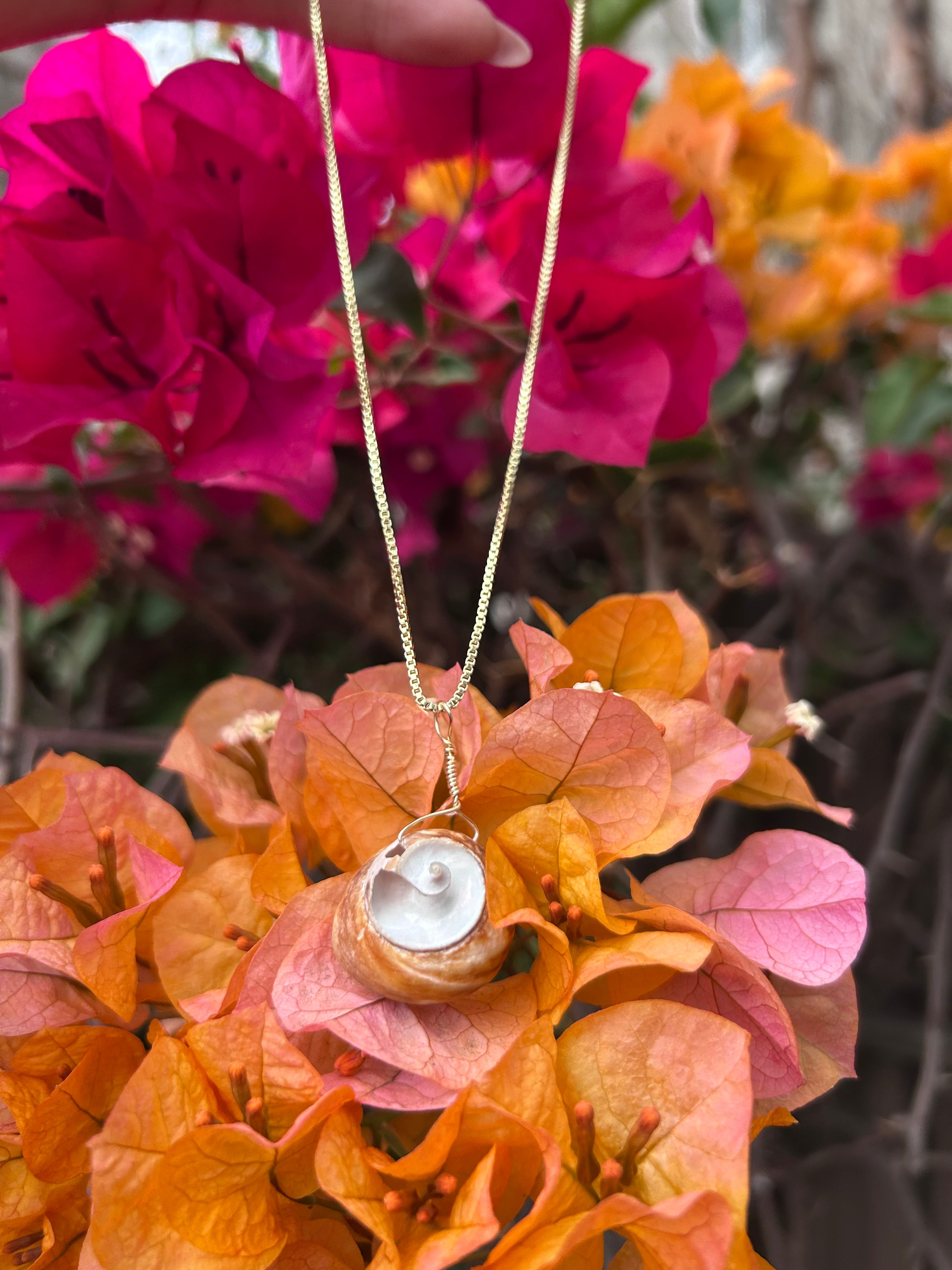 Moon Snail Shell Pendant