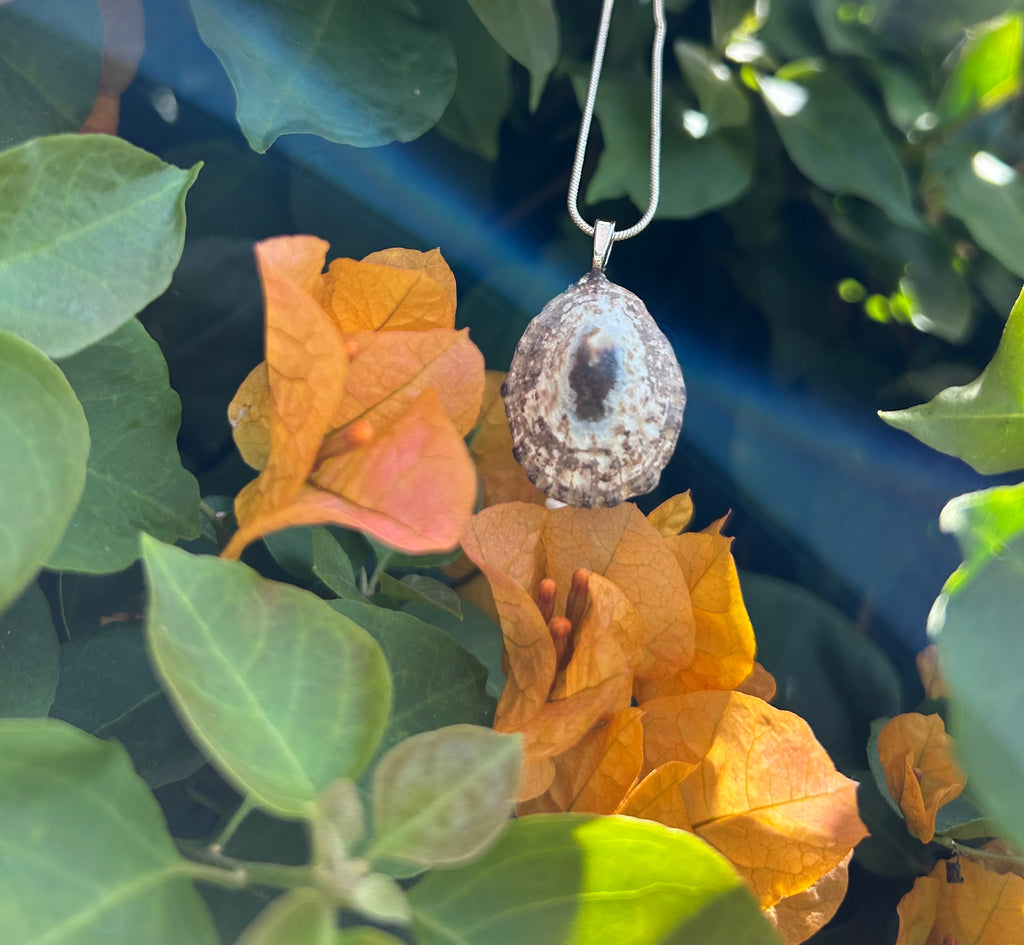 Sunlit Tide Shell Pendant