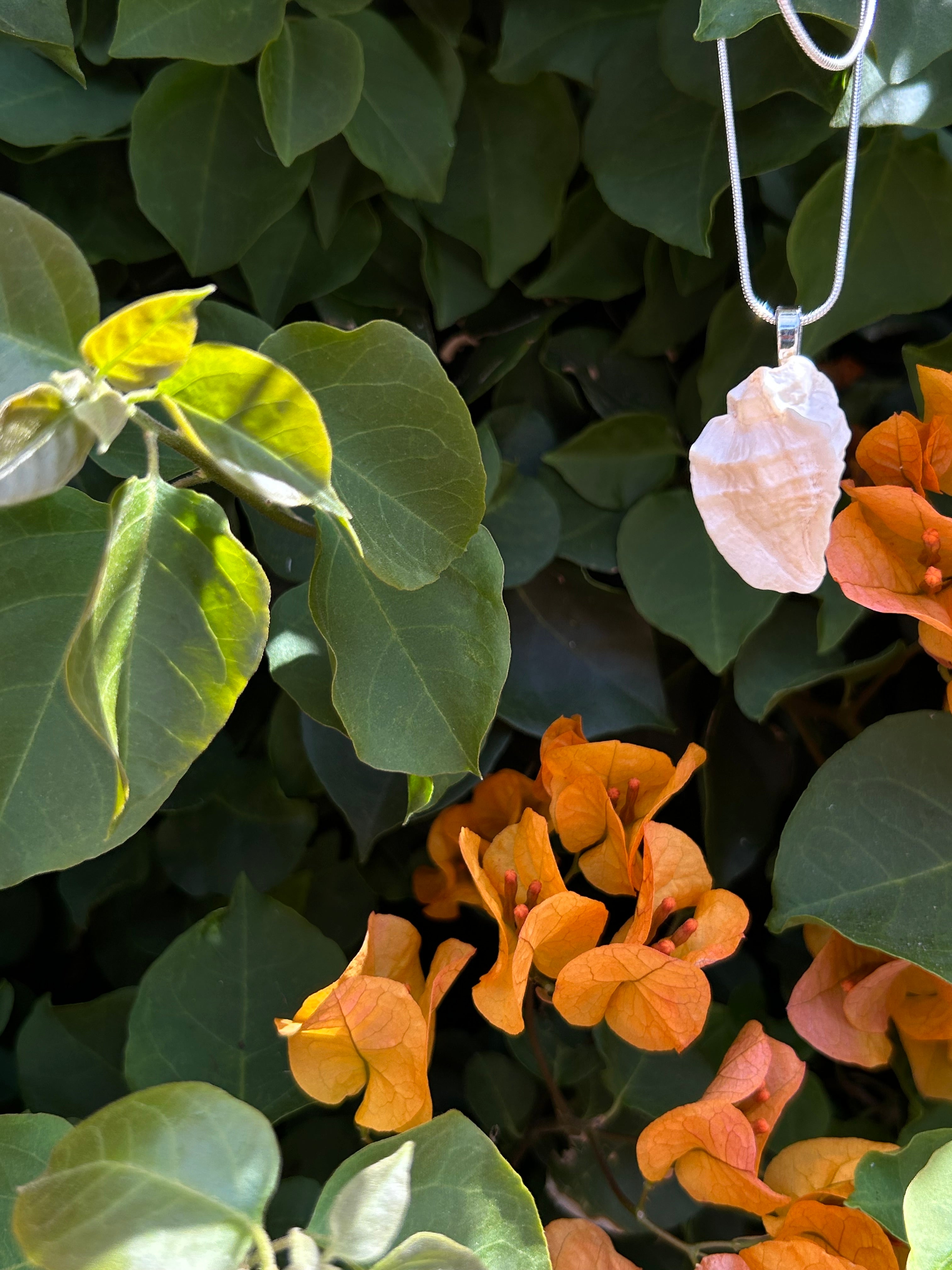 Ocean Whisper Shell Pendant