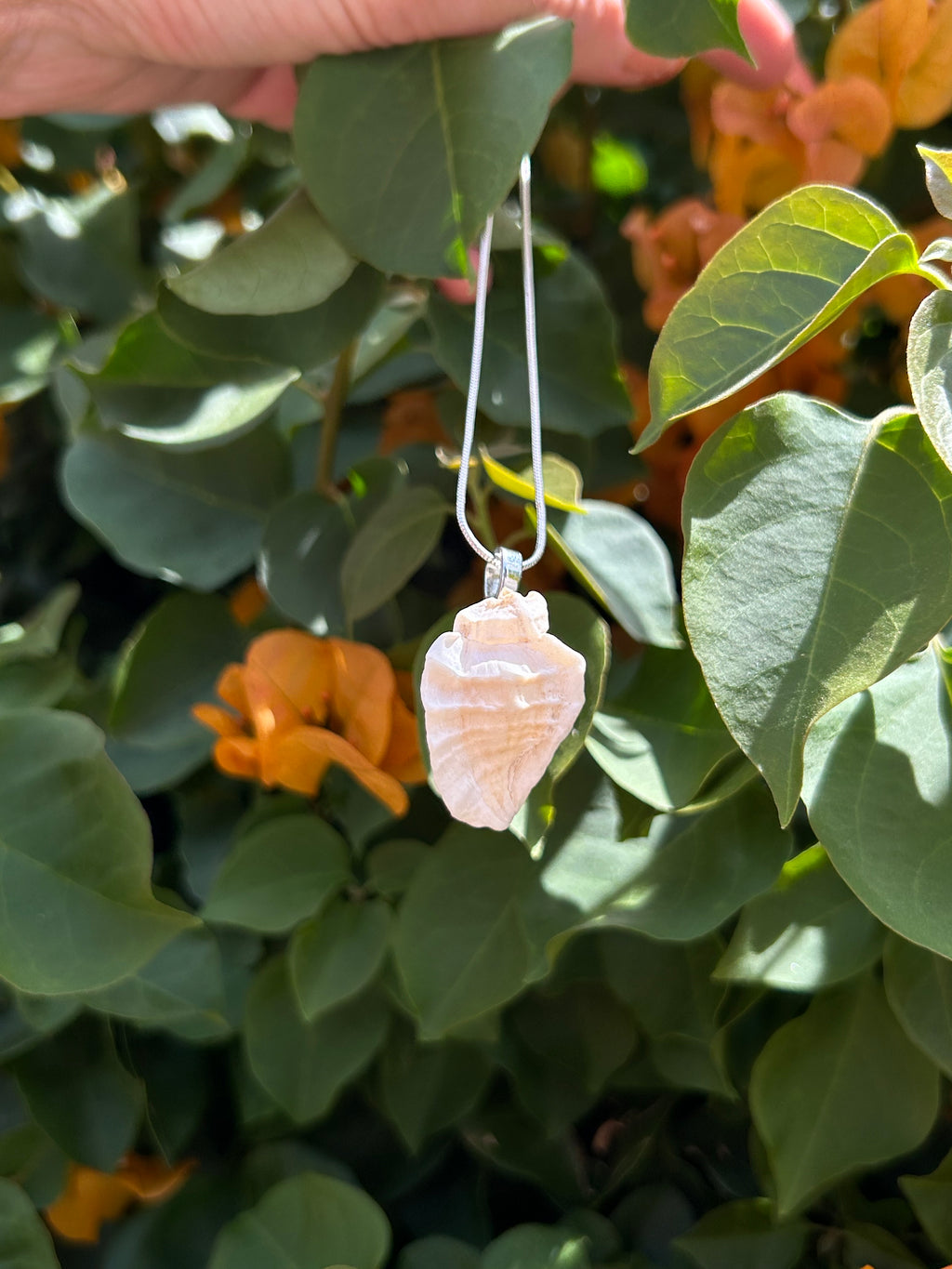Ocean Whisper Shell Pendant