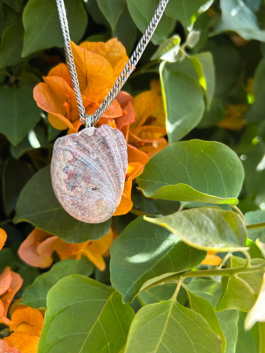 Pacific Tide Abalone Shell Pendant