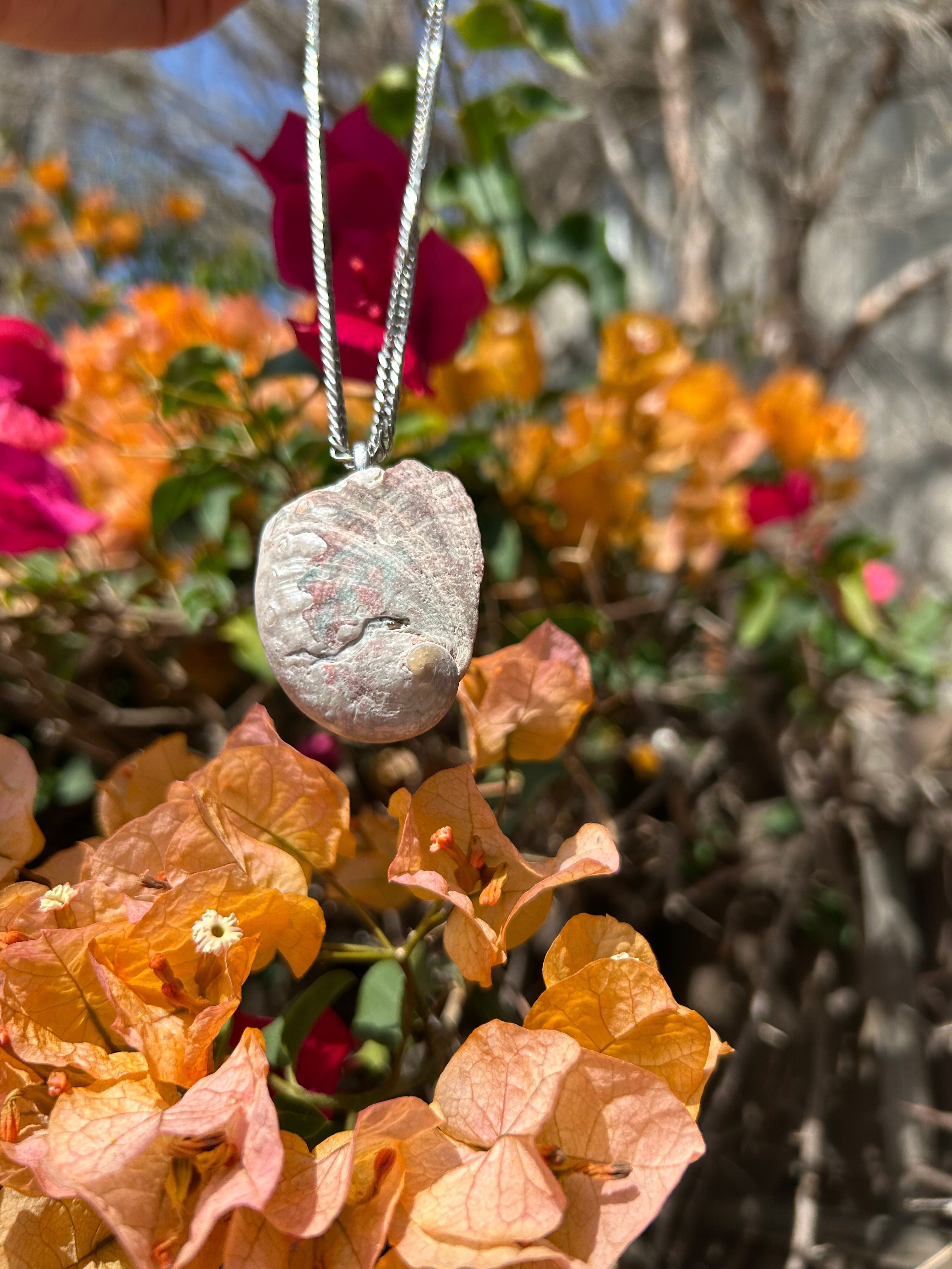 Pacific Tide Abalone Shell Pendant