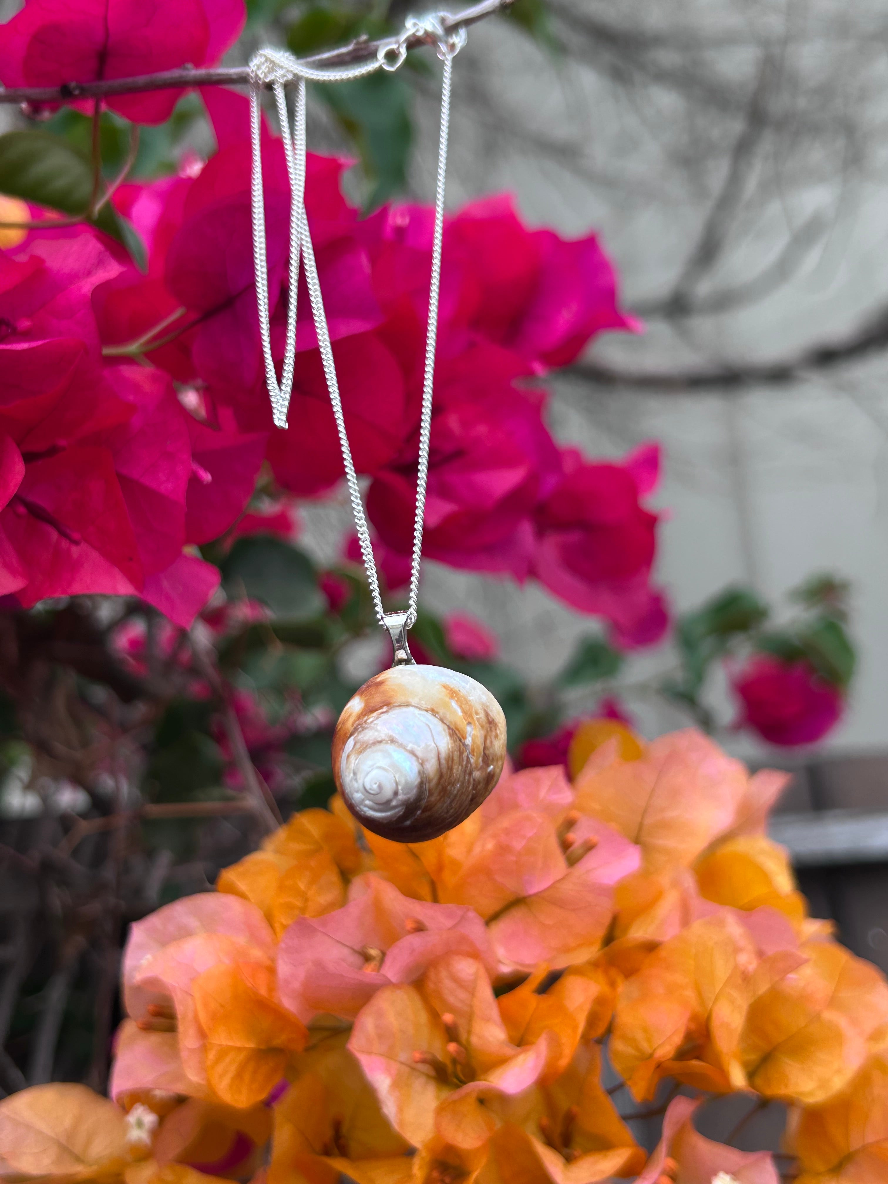 Coastal Drift Shell Pendant