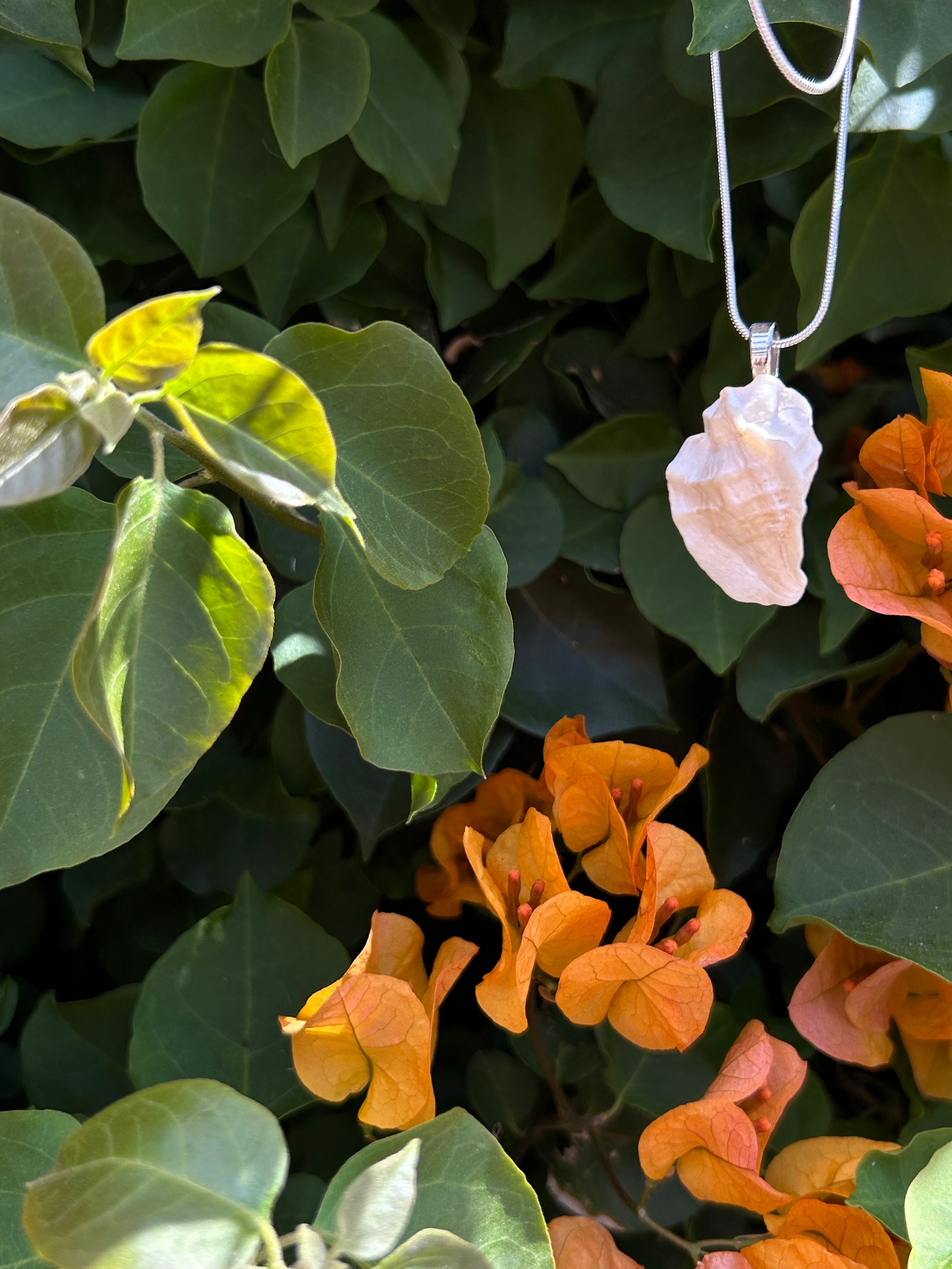 Ocean Whisper Shell Pendant