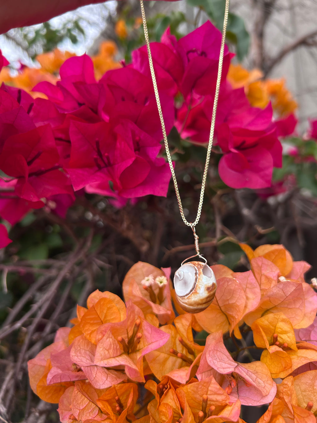 Moon Snail Shell Pendant