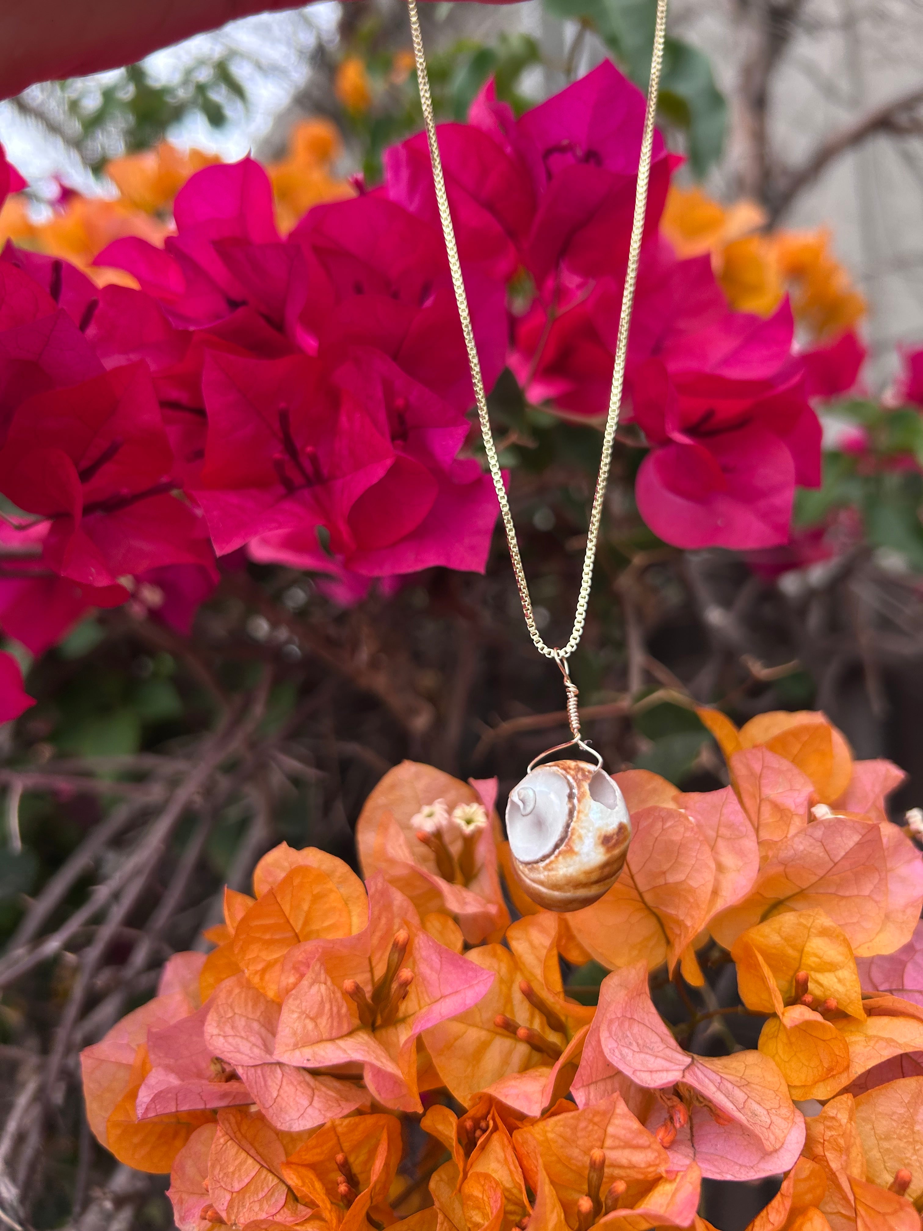 Moon Snail Shell Pendant