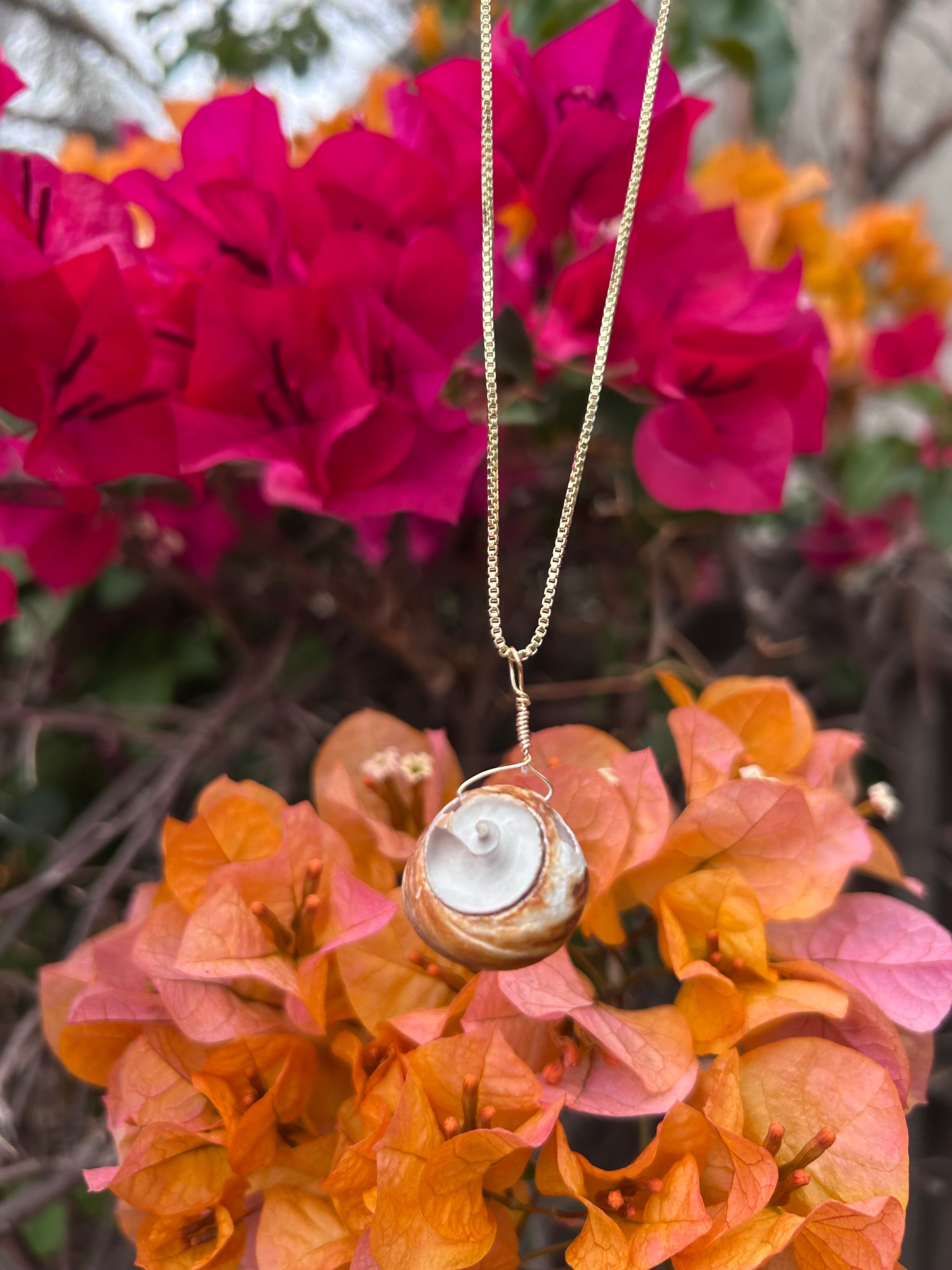 Moon Snail Shell Pendant