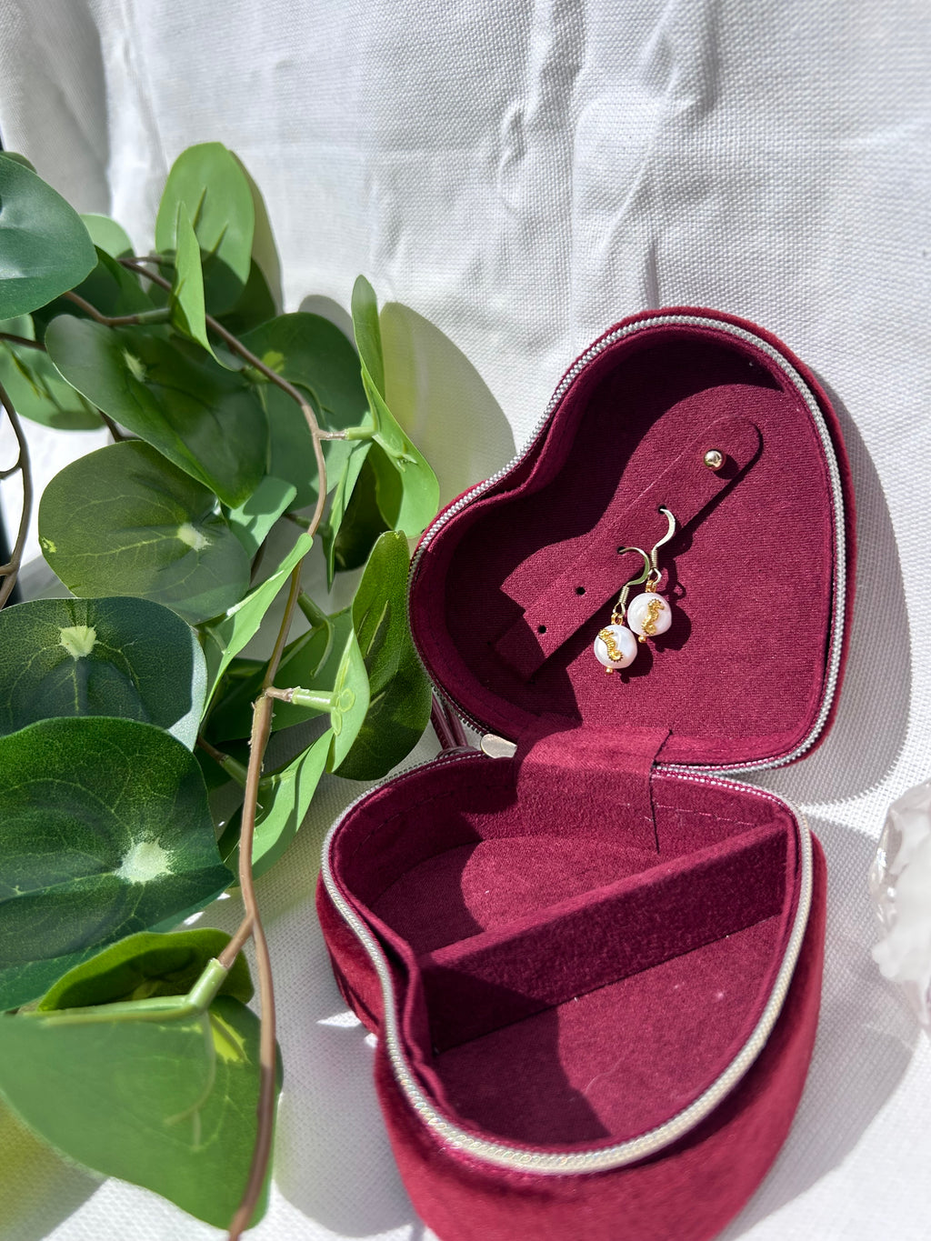 Freshwater Seahorse Danglers