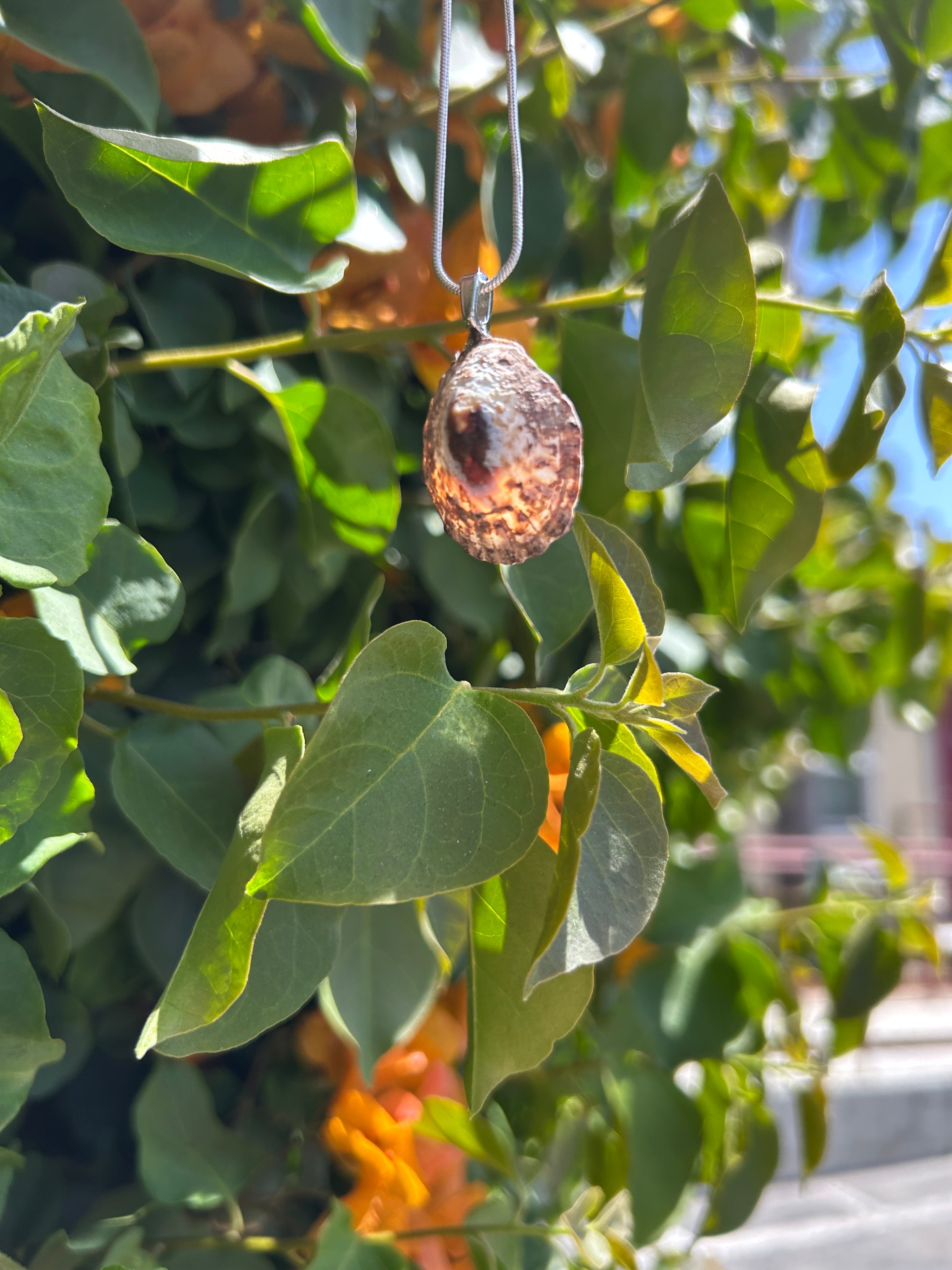Sunlit Tide Shell Pendant